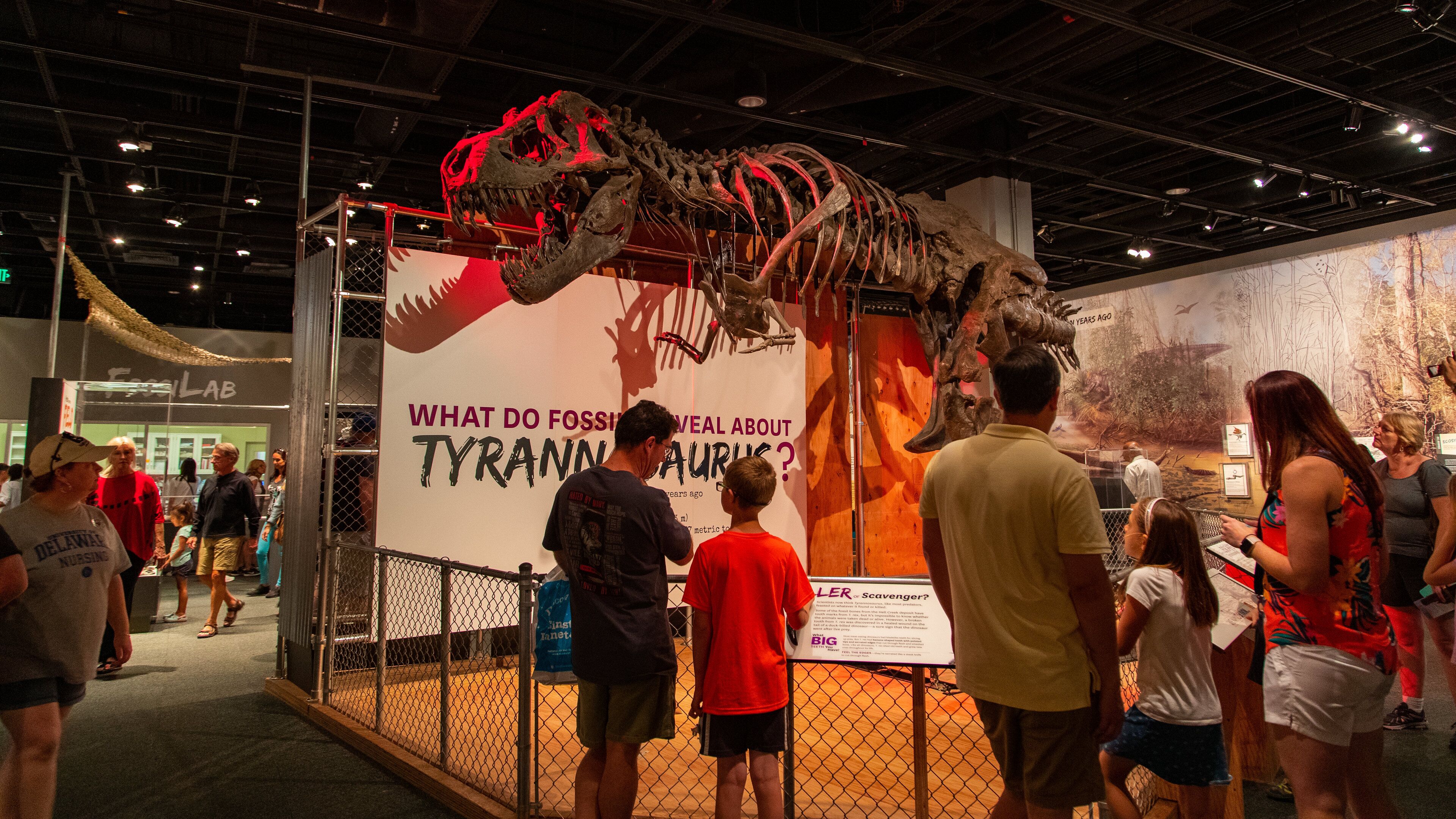 National Museum of Natural History which includes interior views as well as a family