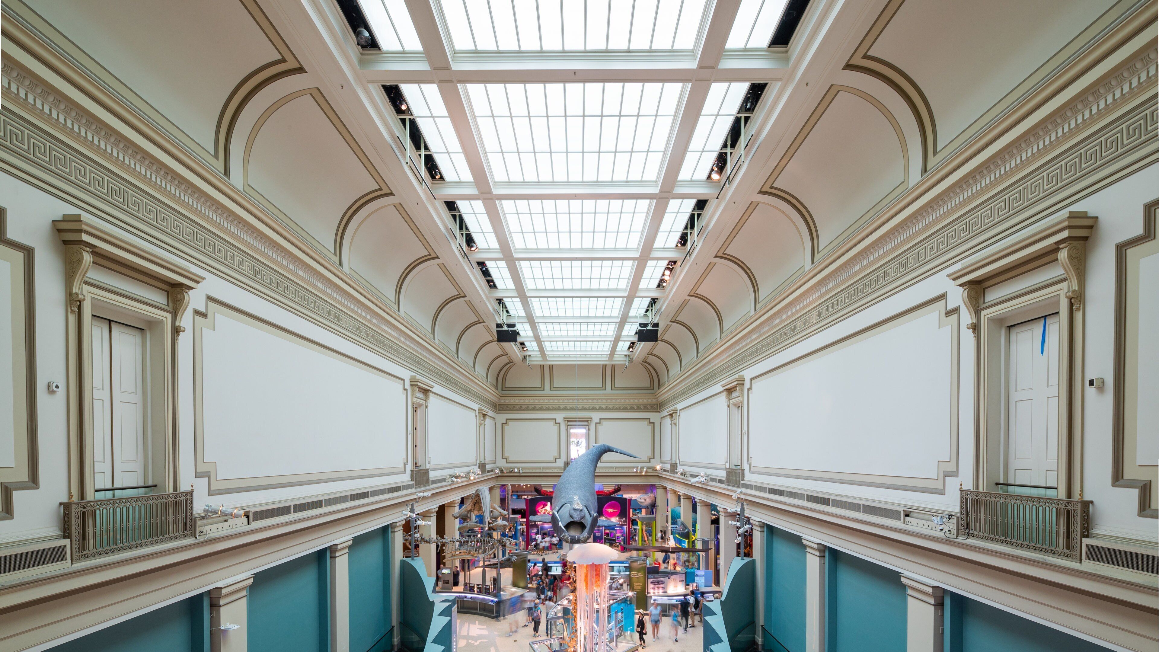 National Museum of Natural History showing interior views
