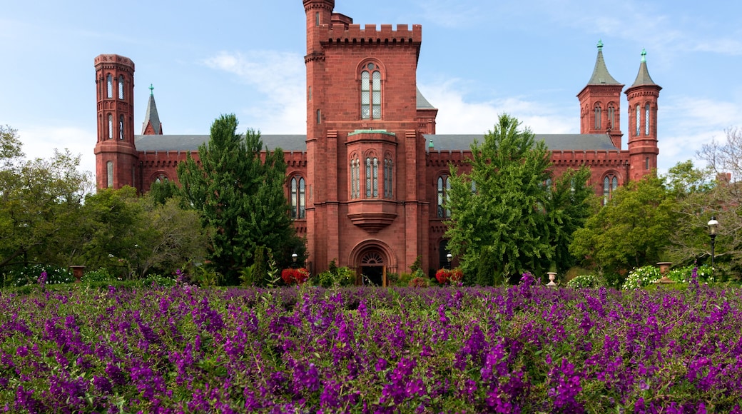 The Smithsonian Castle South Lawn close to the flowers