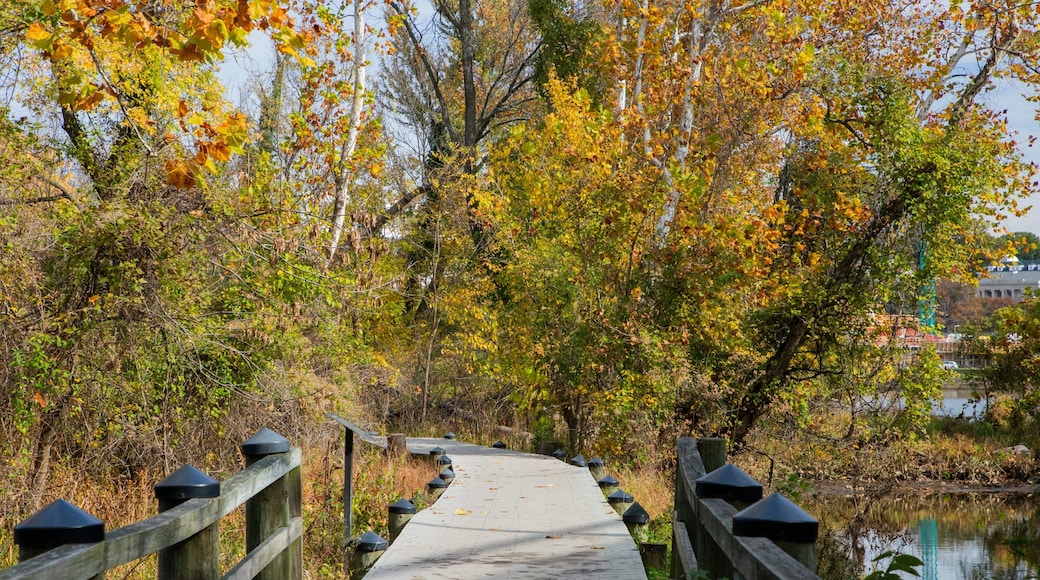 Theodore Roosevelt Island Park showing a garden