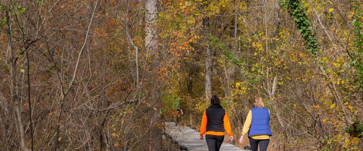 Theodore Roosevelt National Park showing hiking or walking and a garden as well as a couple