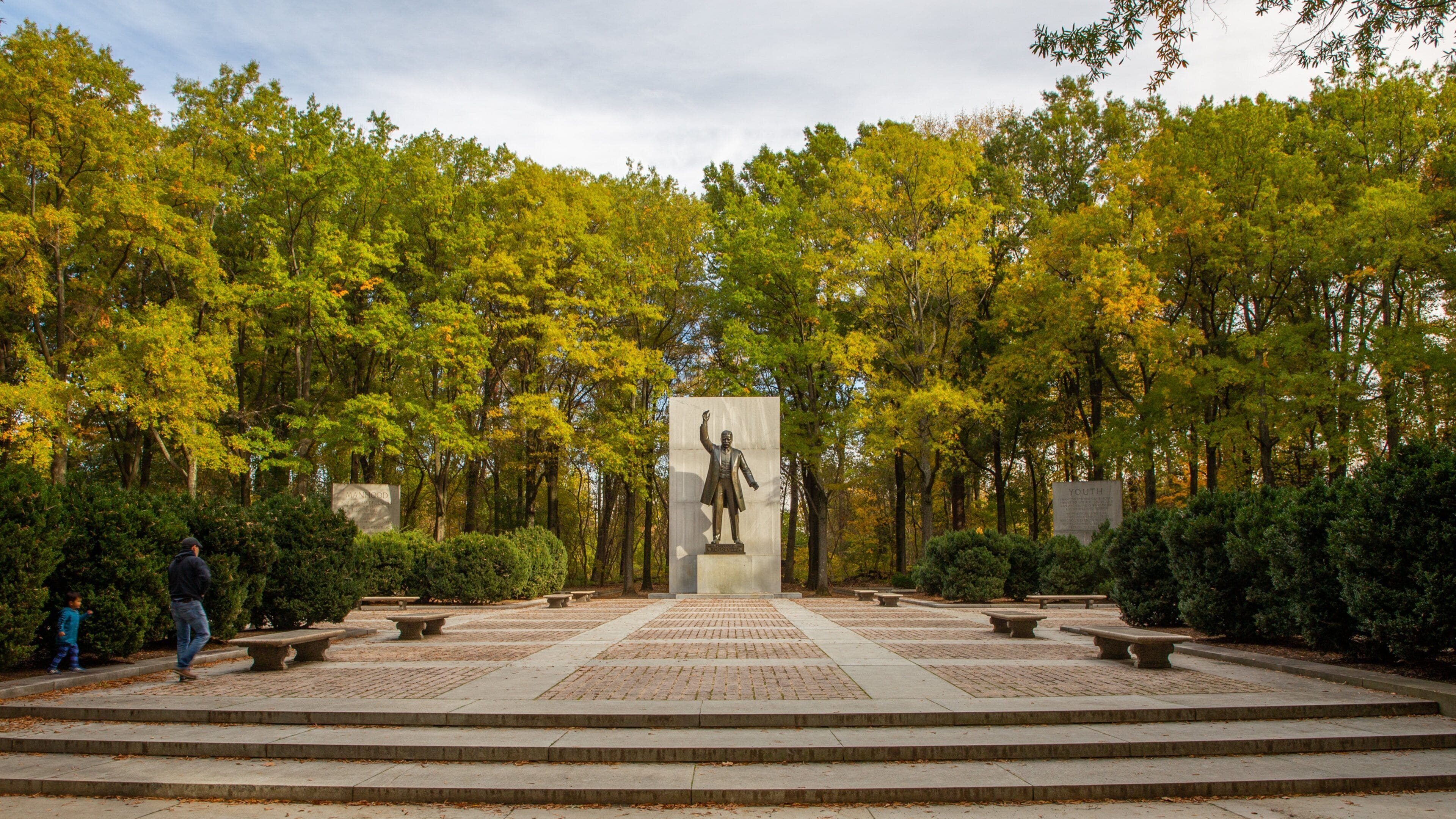 Theodore Roosevelt Island Park which includes a statue or sculpture