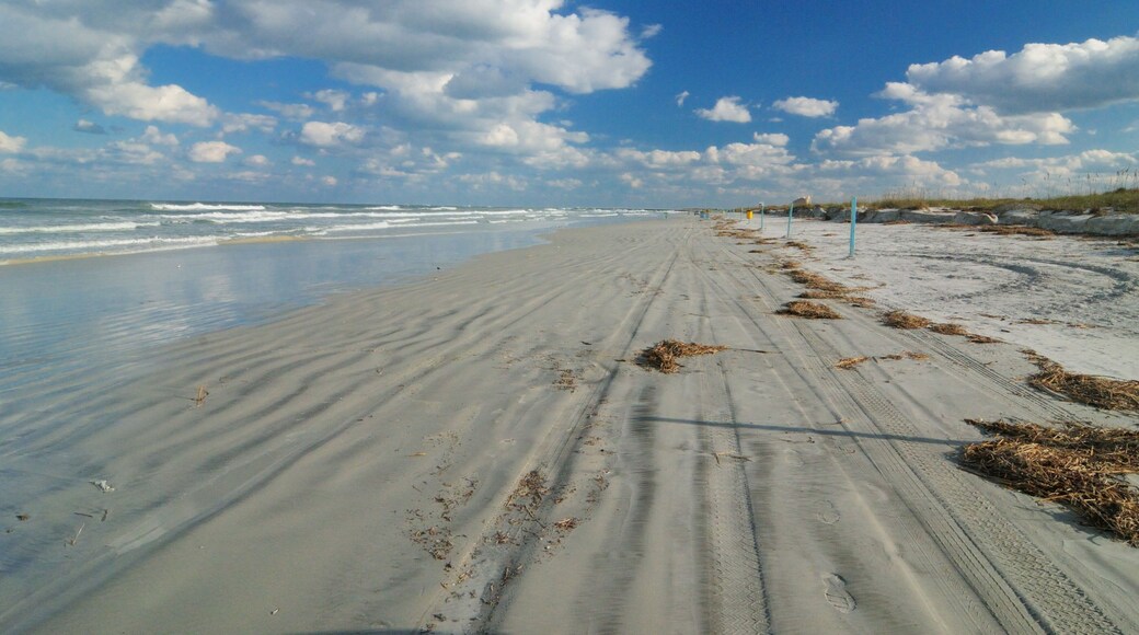 Beach Road On The Beach At Lighthouse Point Park In Ponce Inlet On A Sunny Autumn Day With A Clear Blue Sky And A Few Clouds