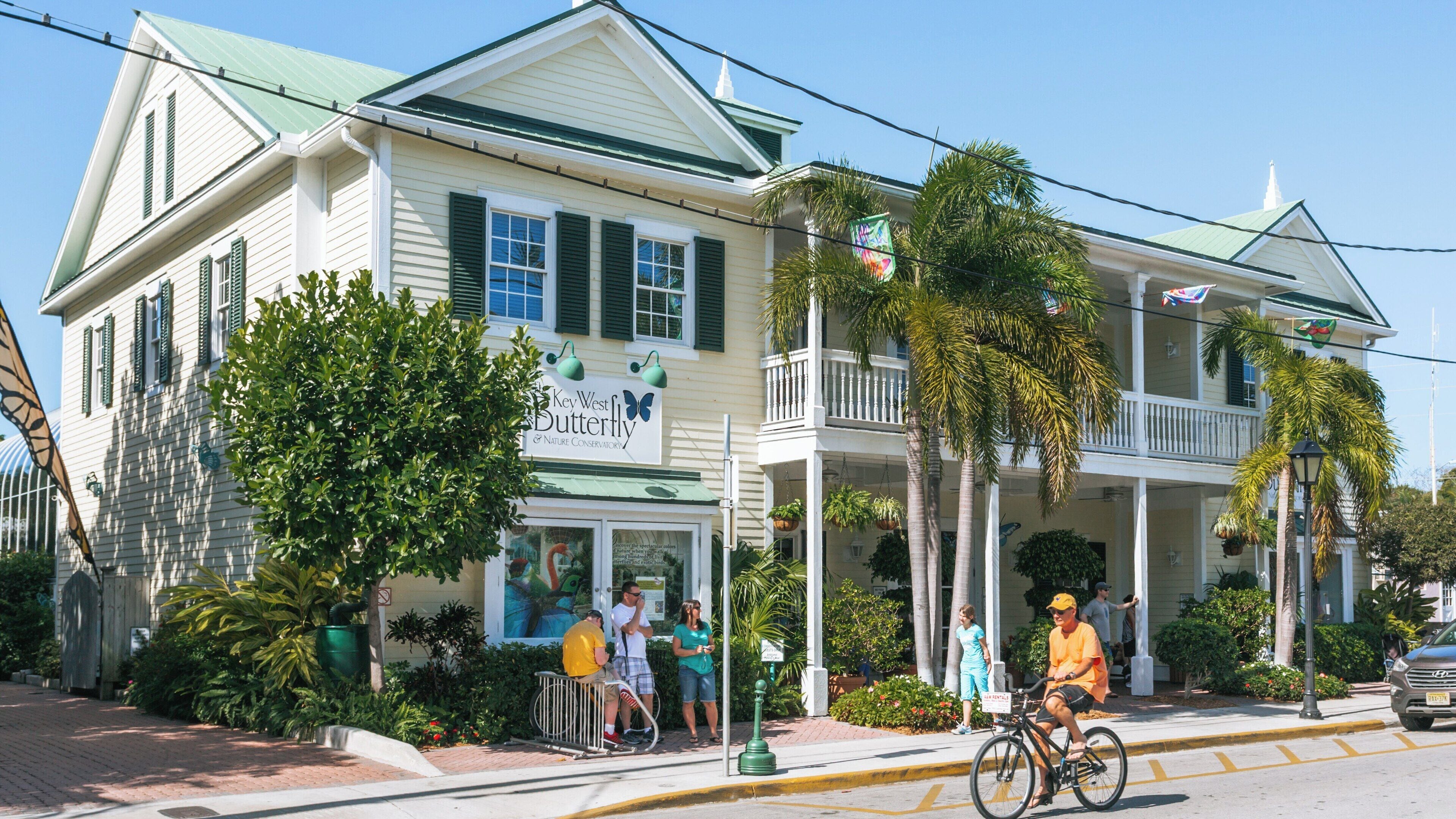 Experience the natural beauty of Key West Butterfly and Nature Conservatory in Florida with vibrant butterflies and lush greenery in a serene setting
