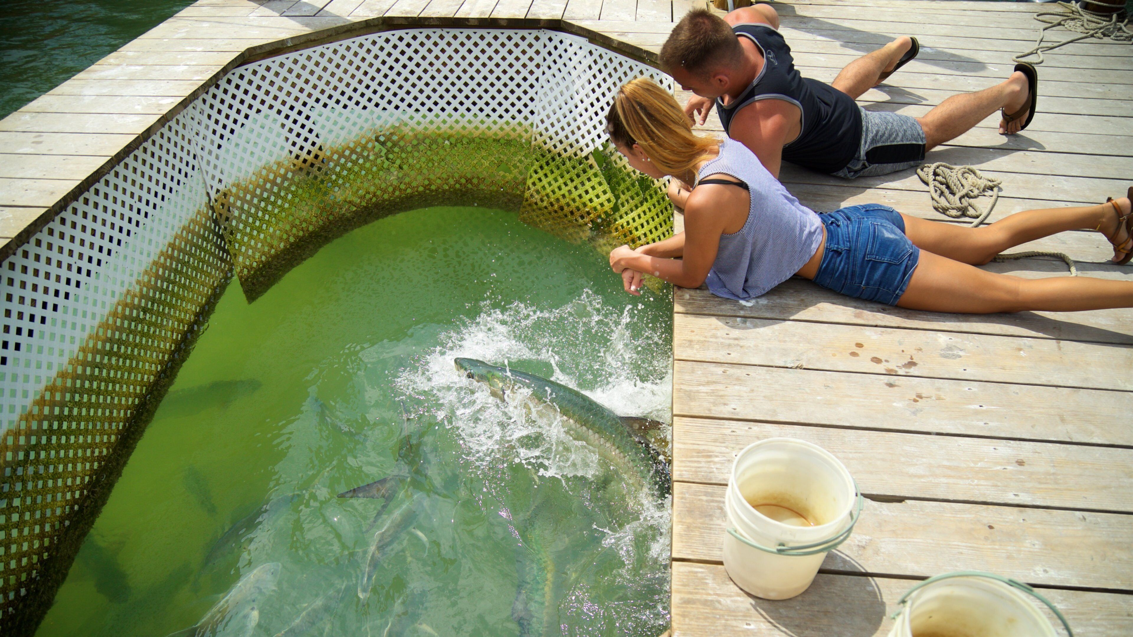 Robbie\'s featuring marine life as well as a couple