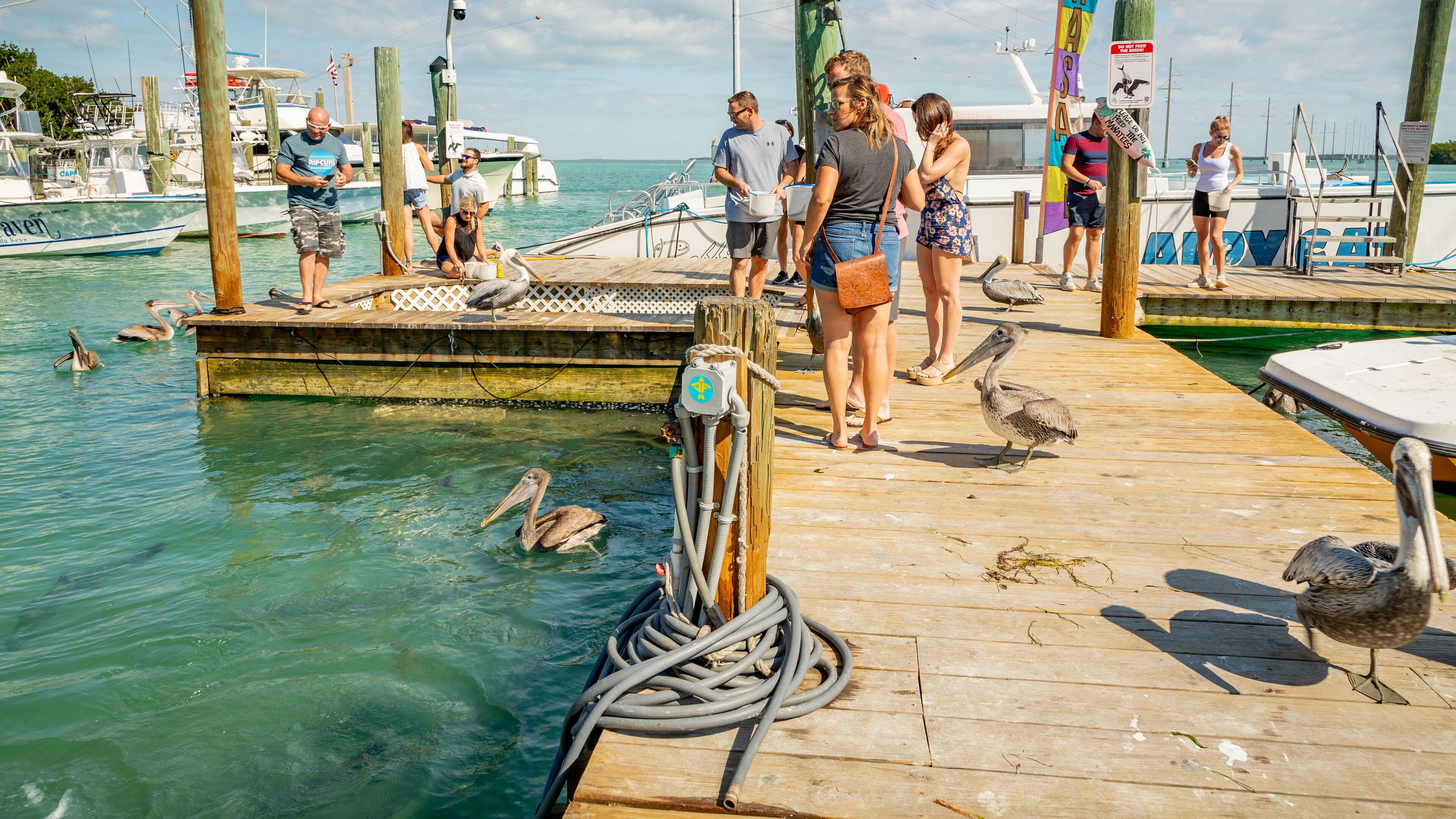 Robbie\'s which includes marine life and a bay or harbor as well as a small group of people