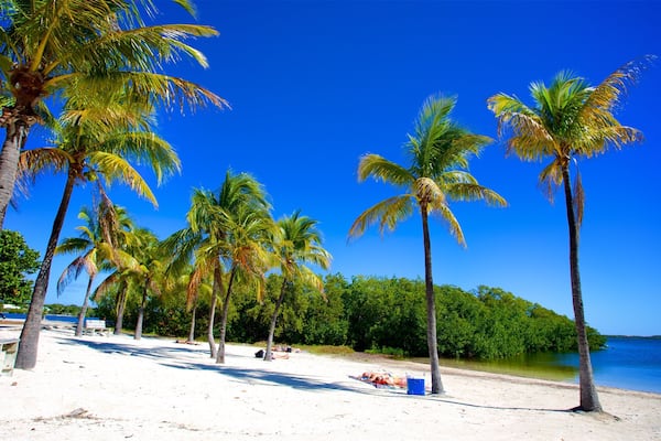 John Pennekamp Coral Reef State Park welches beinhaltet allgemeine Küstenansicht, Strand und tropische Szenerien