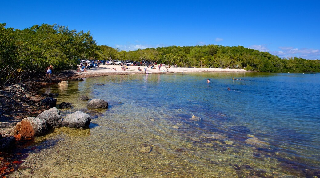 John Pennekamp Coral Reef State Park showing a bay or harbour, rocky coastline and landscape views