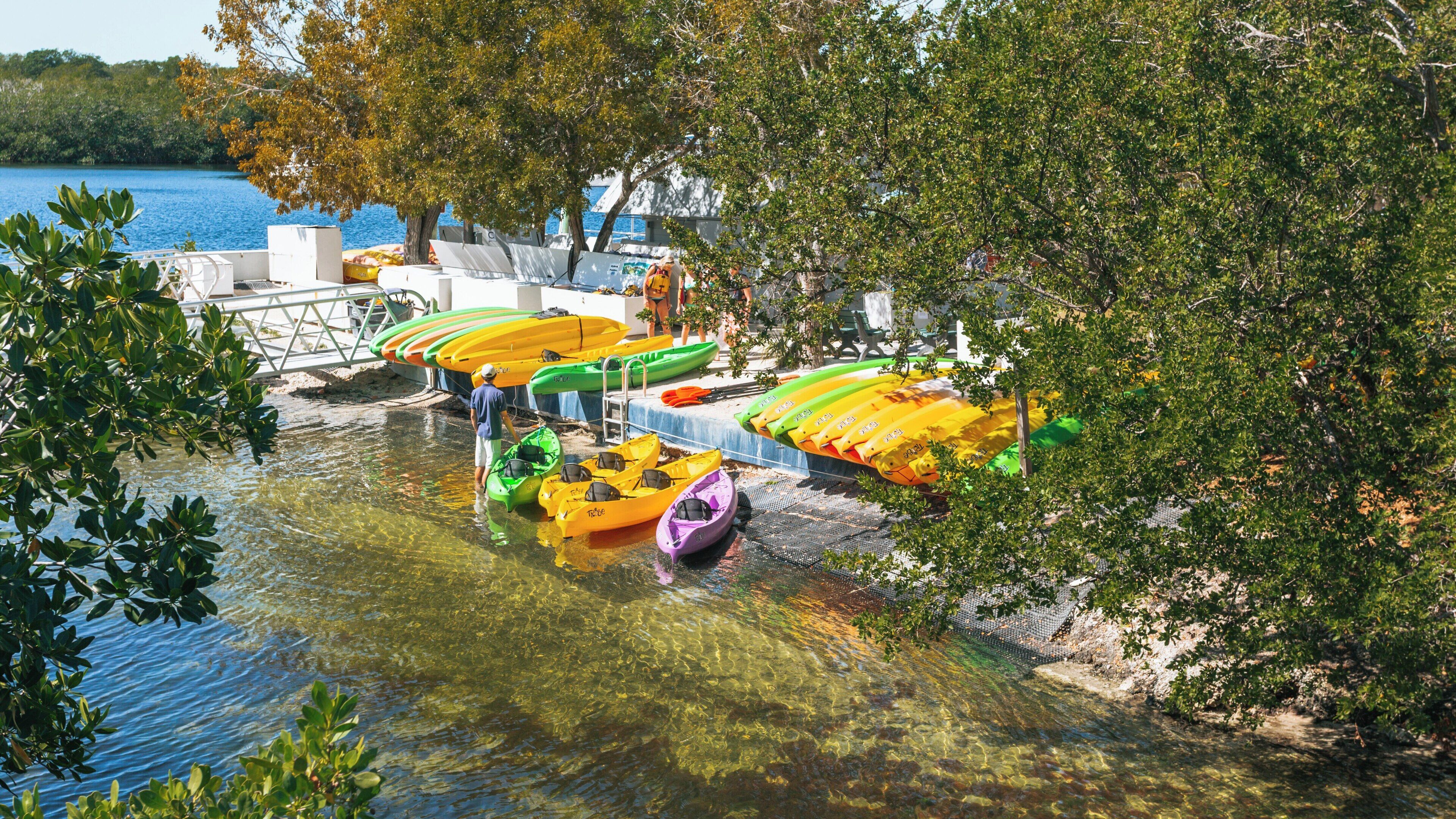 Exploring John Pennekamp Coral Reef State Park in Key Largo through kayaking and water activities along the scenic shoreline