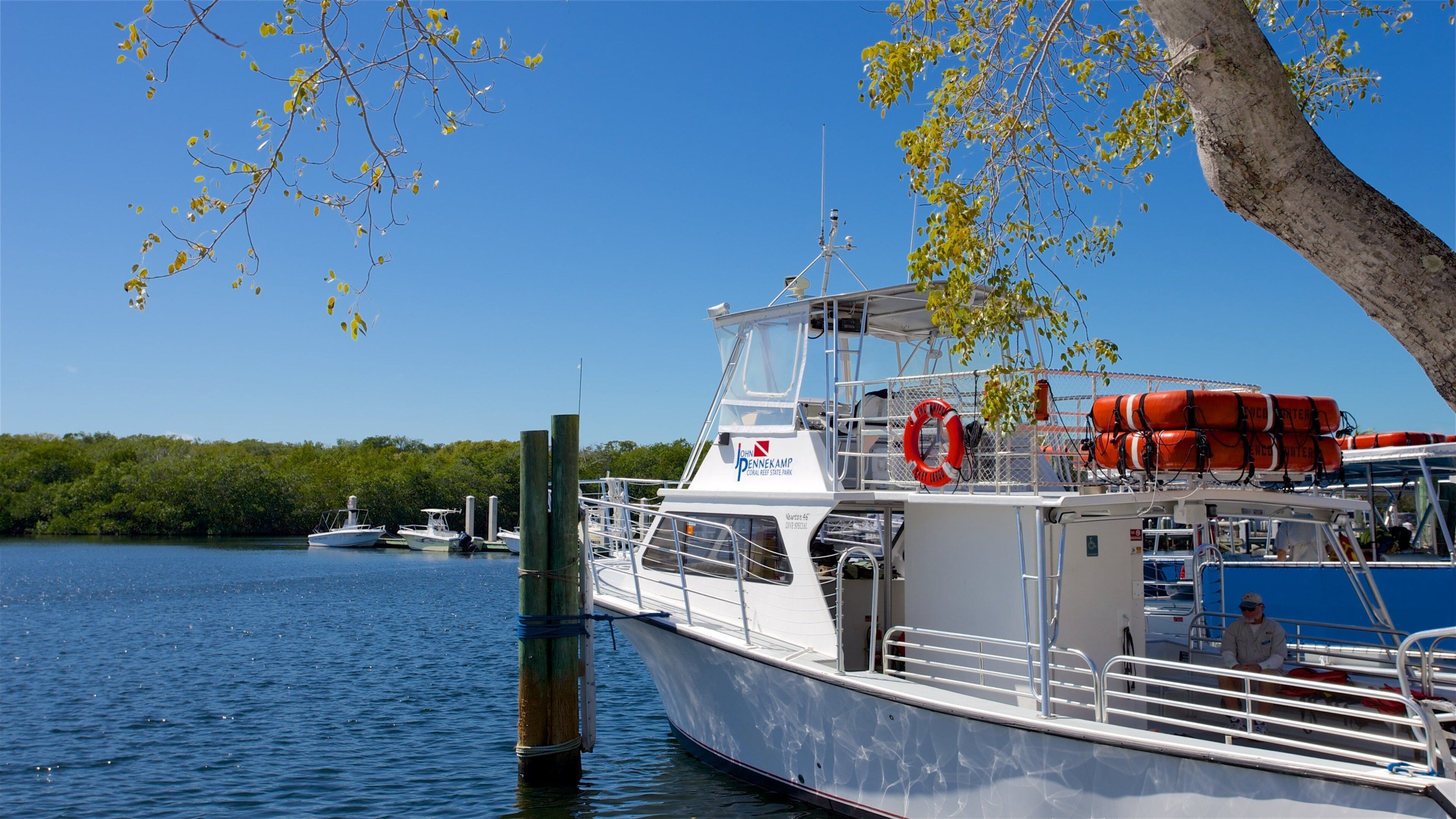 John Pennekamp Coral Reef State Park que inclui canoagem e uma baía ou porto