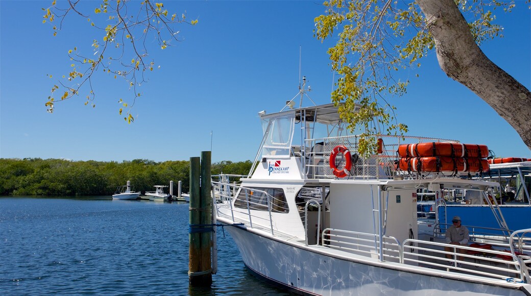 John Pennekamp Coral Reef State Park que inclui canoagem e uma baía ou porto