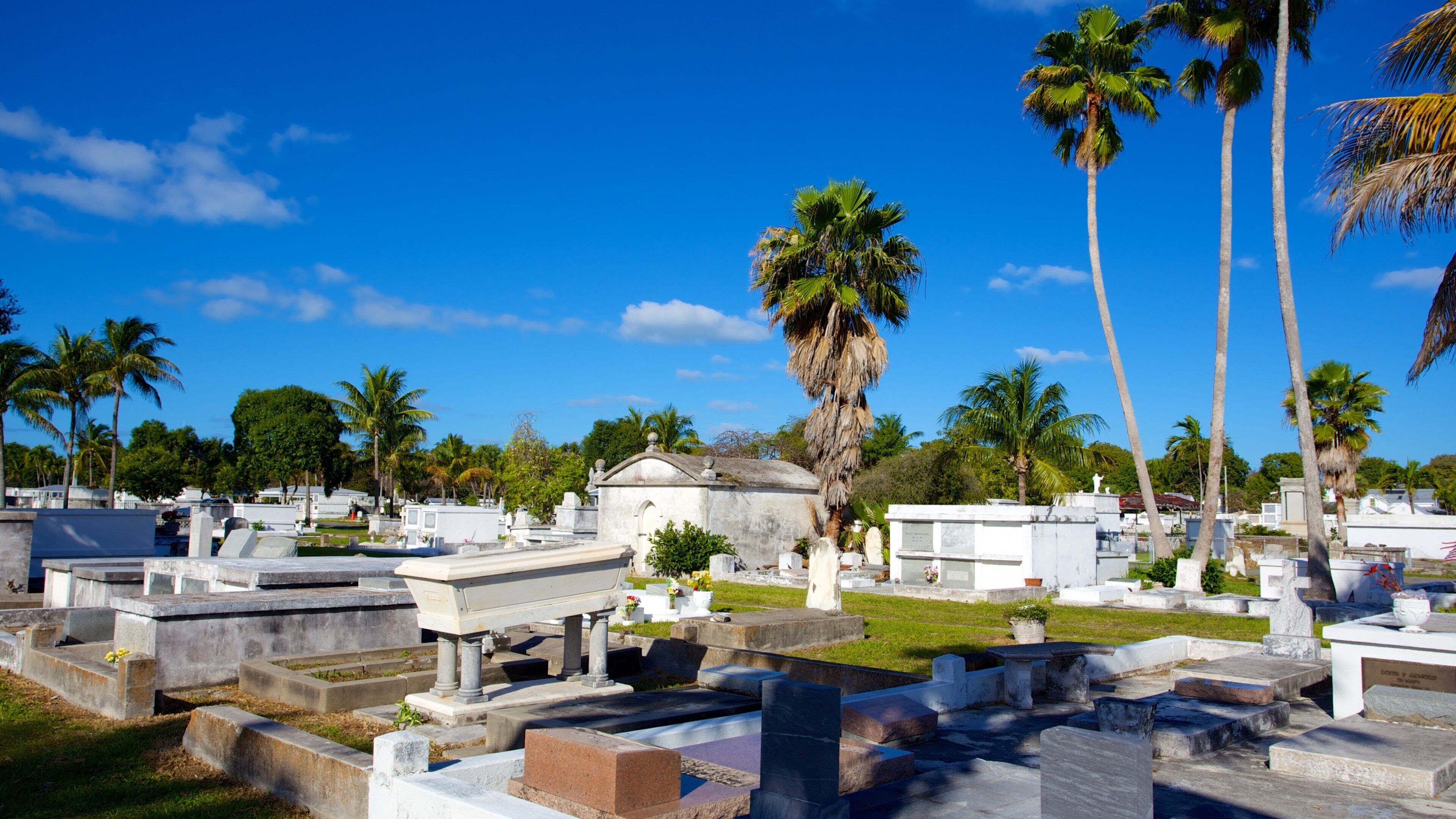 Cementerio de Cayo Hueso mostrando un cementerio