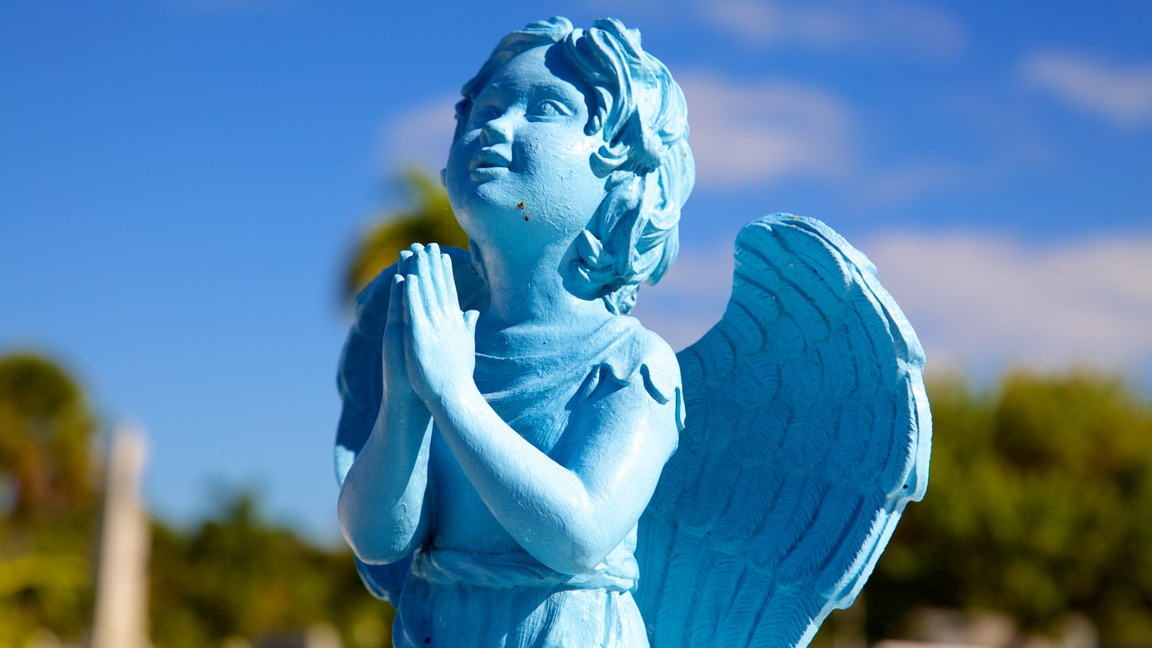 Key West Cemetery welches beinhaltet Statue oder Skulptur und Friedhof