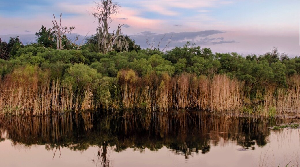 500px Photo ID: 46907804 - Paynes Prairie, Alachua Sink @dusk. Gainesville, Florida