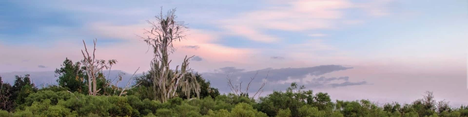 500px Photo ID: 46907804 - Paynes Prairie, Alachua Sink @dusk. Gainesville, Florida