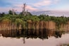 500px Photo ID: 46907804 - Paynes Prairie, Alachua Sink @dusk. Gainesville, Florida