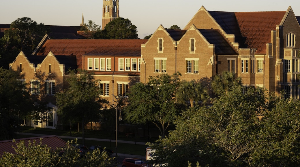 University of Florida