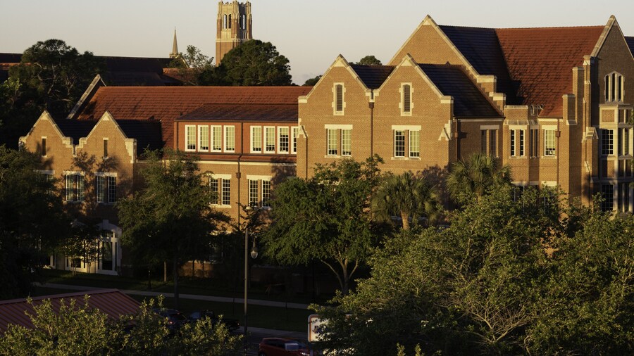 University of Florida