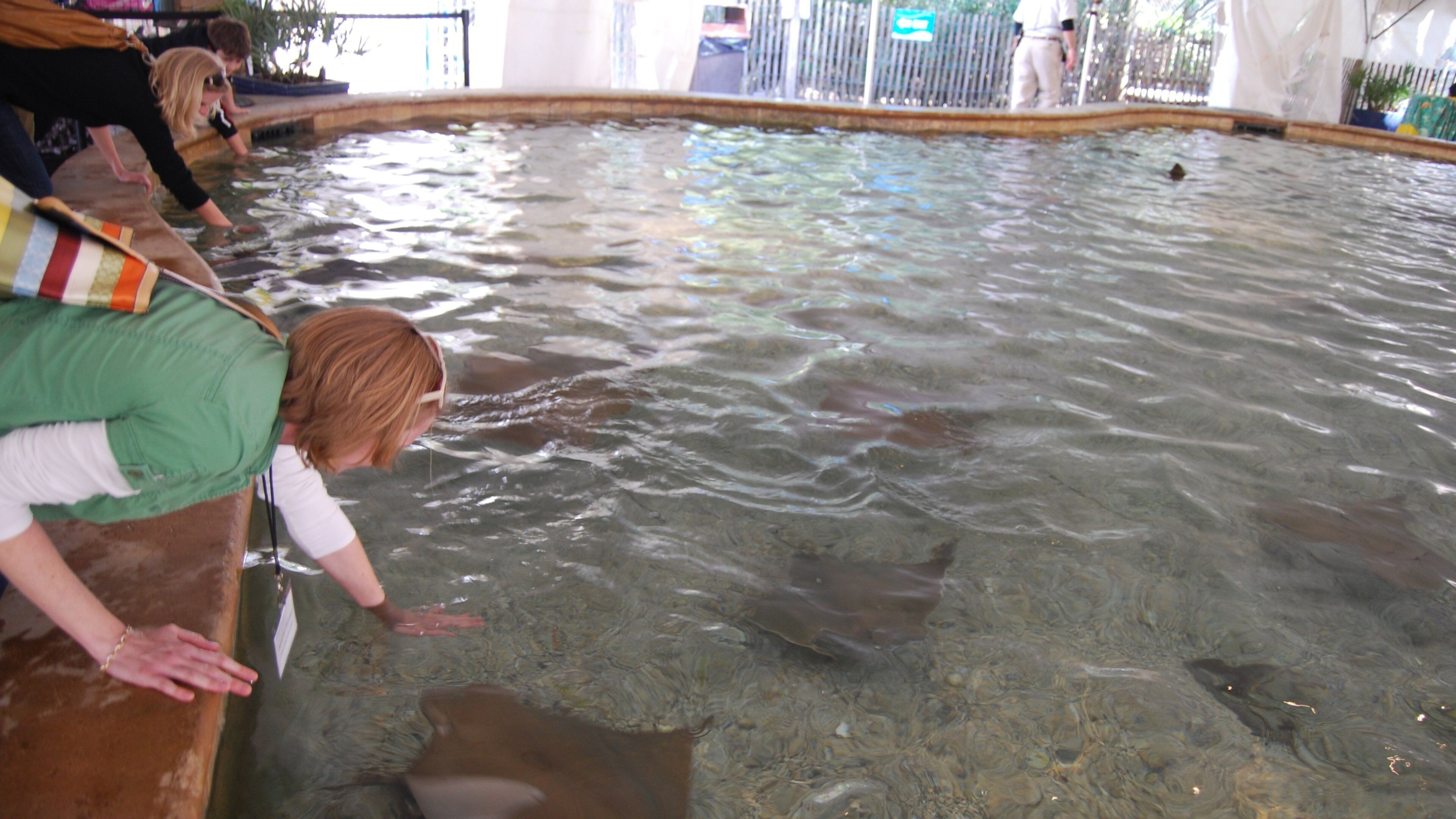 Jacksonville Zoo and Gardens featuring zoo animals and marine life