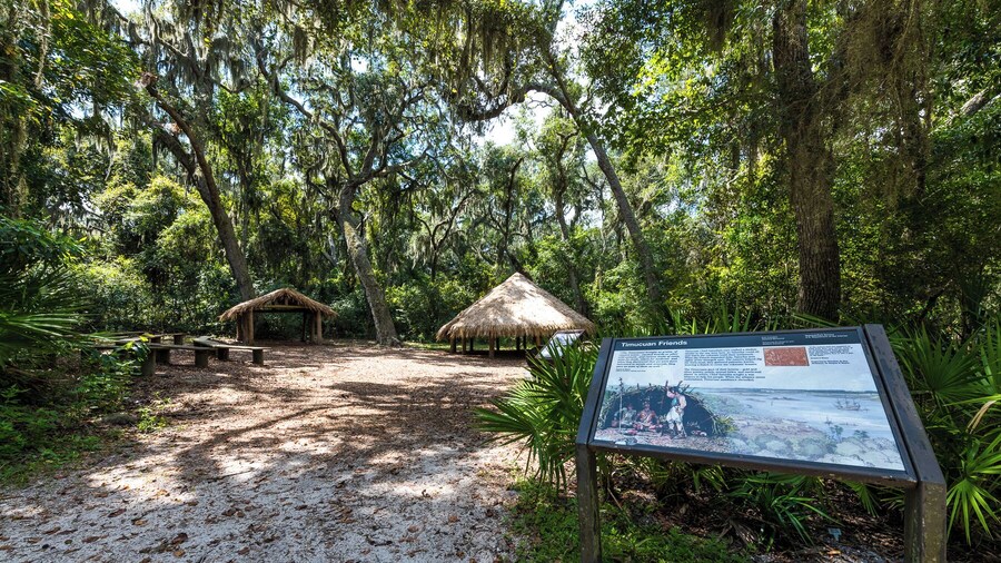FernandinaBeach_TimucuanEcological&HistoricalPreserve_6068644_02