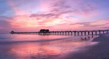 Pink and purple sunset over the Naples Pier
