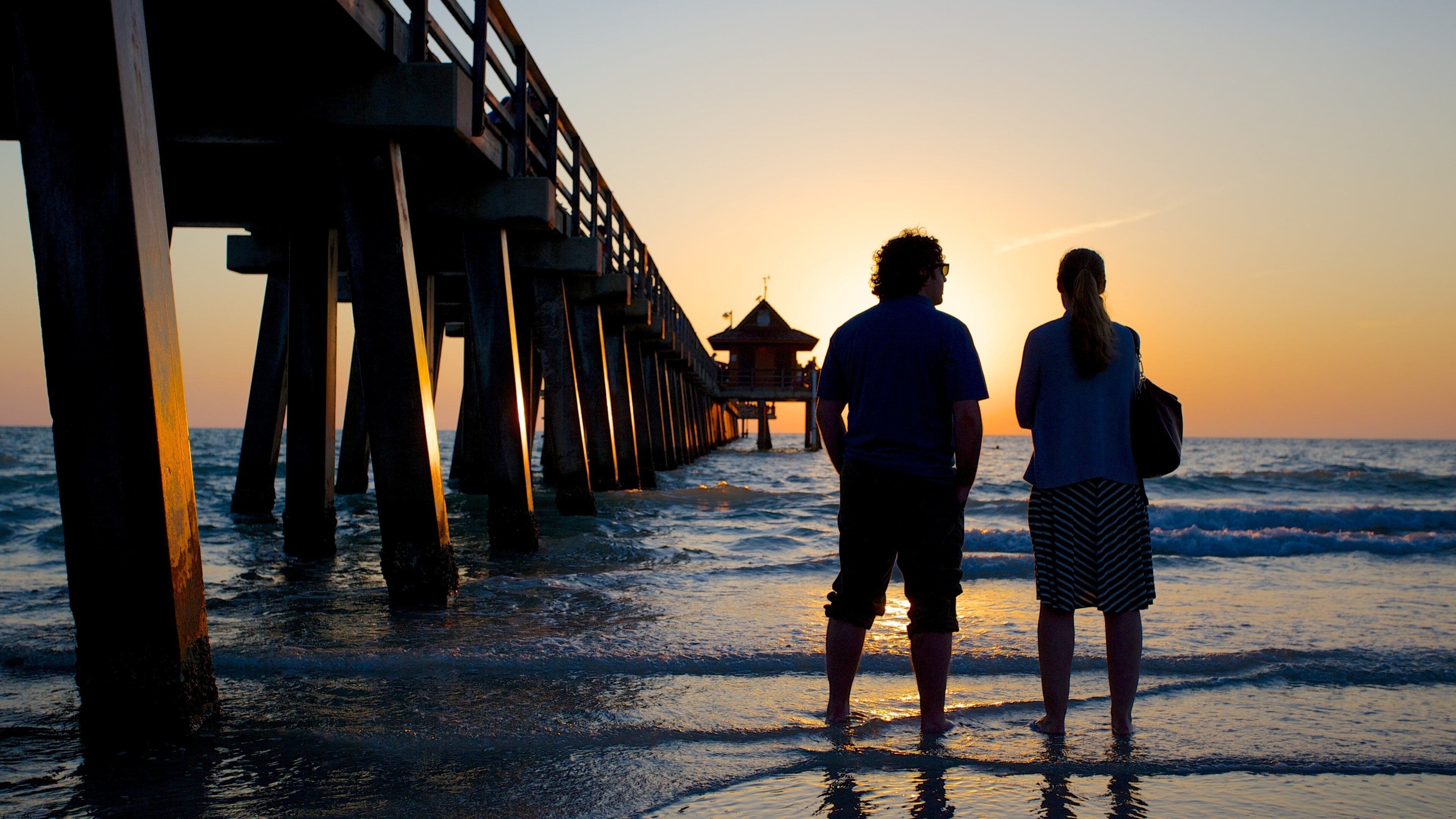Naples Pier som viser strand, solnedgang og utsikt