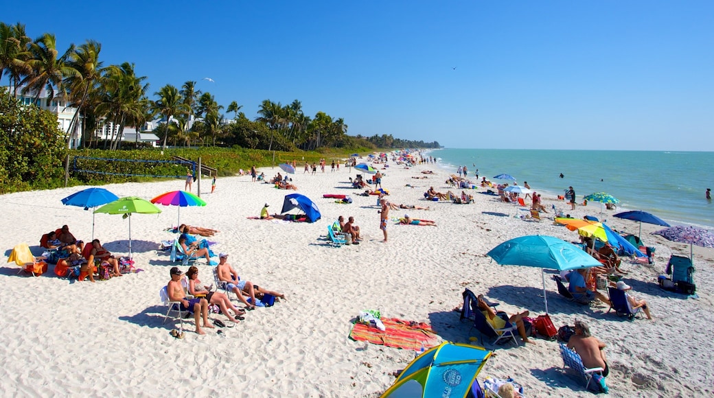Naples Pier mostrando vista panorámica y una playa y también un gran grupo de personas