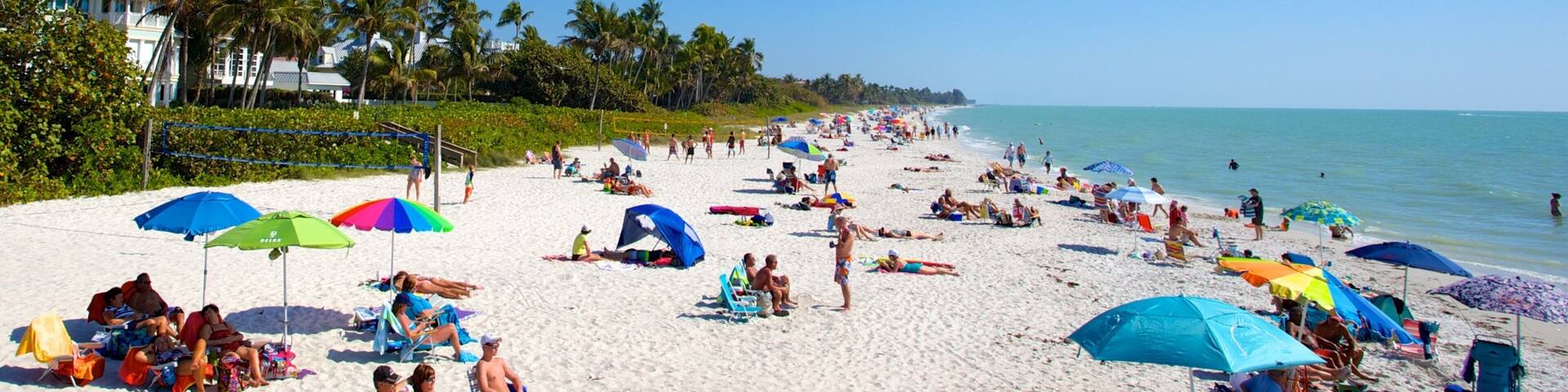 Naples Pier featuring a sandy beach and landscape views as well as a large group of people