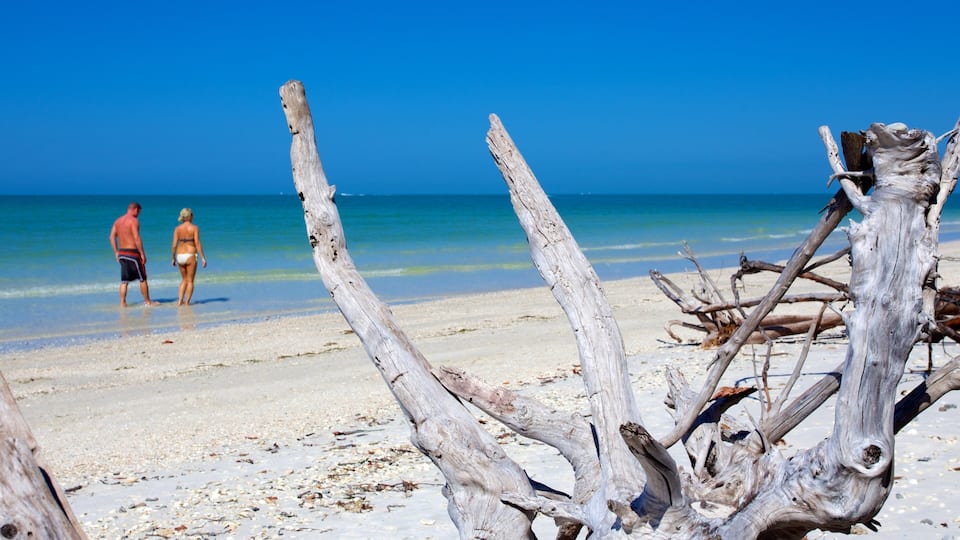 A beach with driftwood and two people walking on the shore.