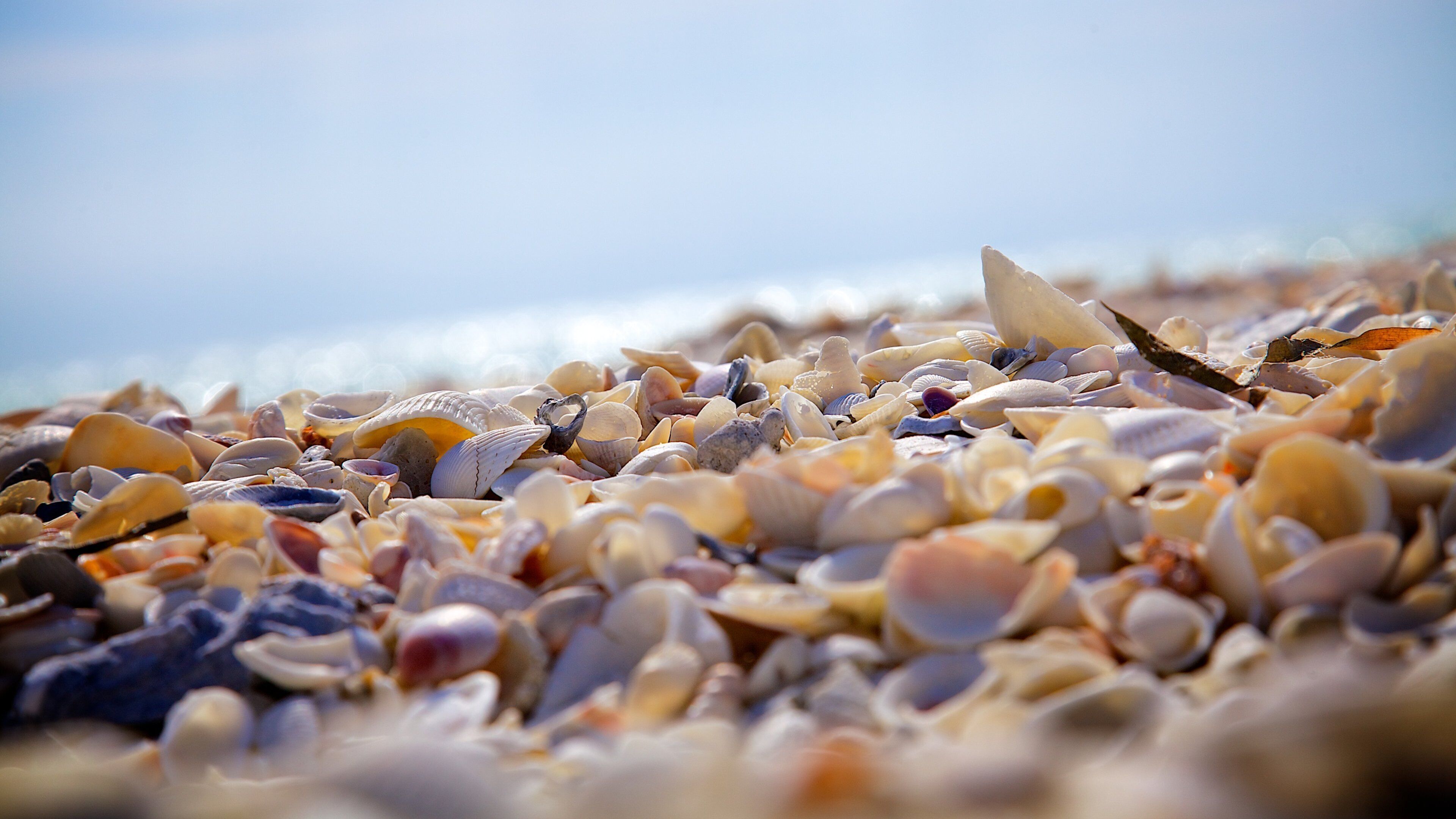 Barefoot Beach showing a pebble beach