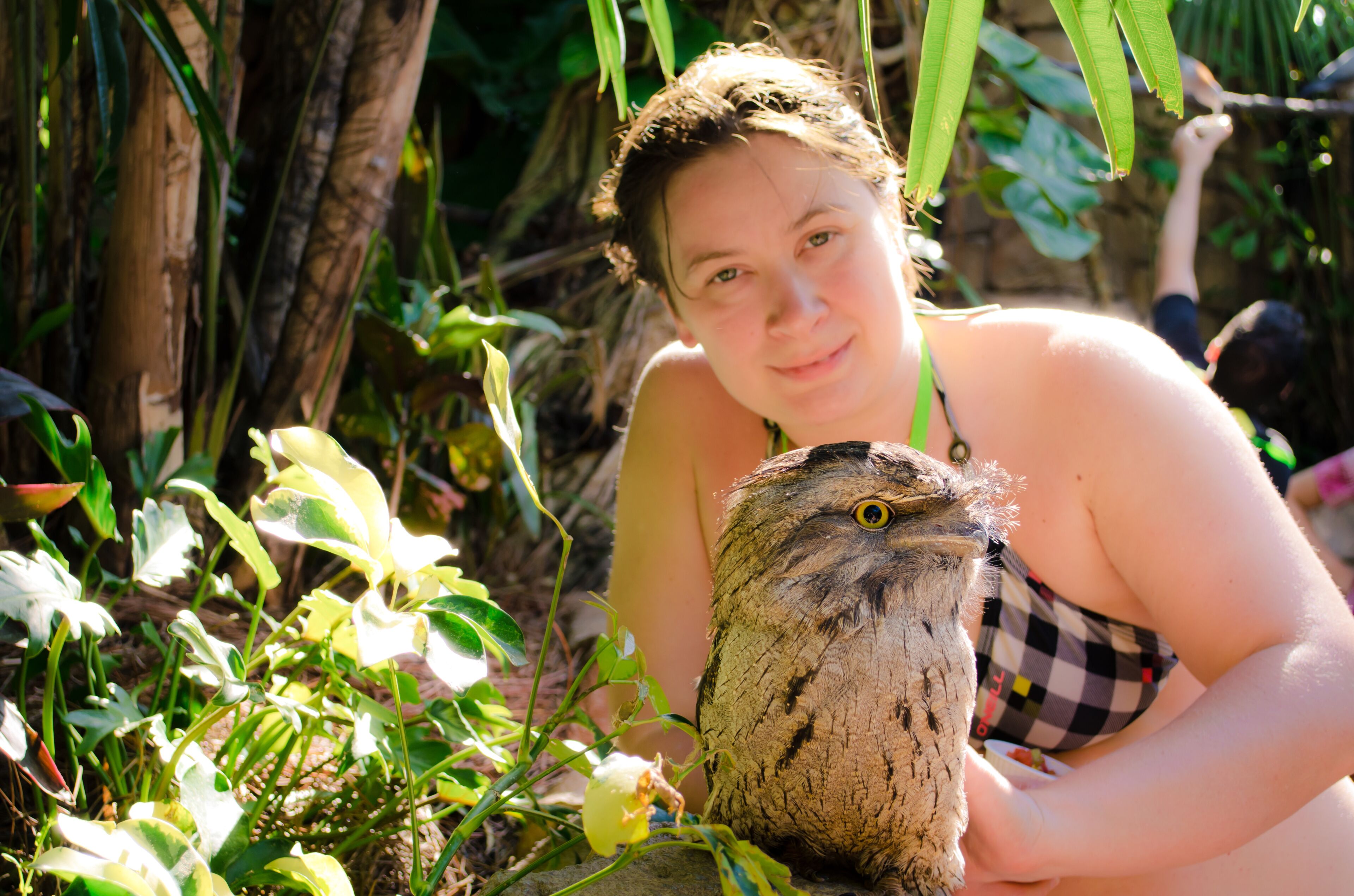 Discovery Cove. Theme park owned and operated by SeaWorld Parks & Entertainment. Orlando, Florida, USA.