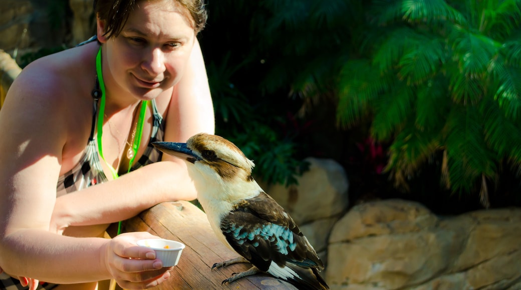 Discovery Cove. Theme park owned and operated by SeaWorld Parks & Entertainment. Orlando, Florida, USA.