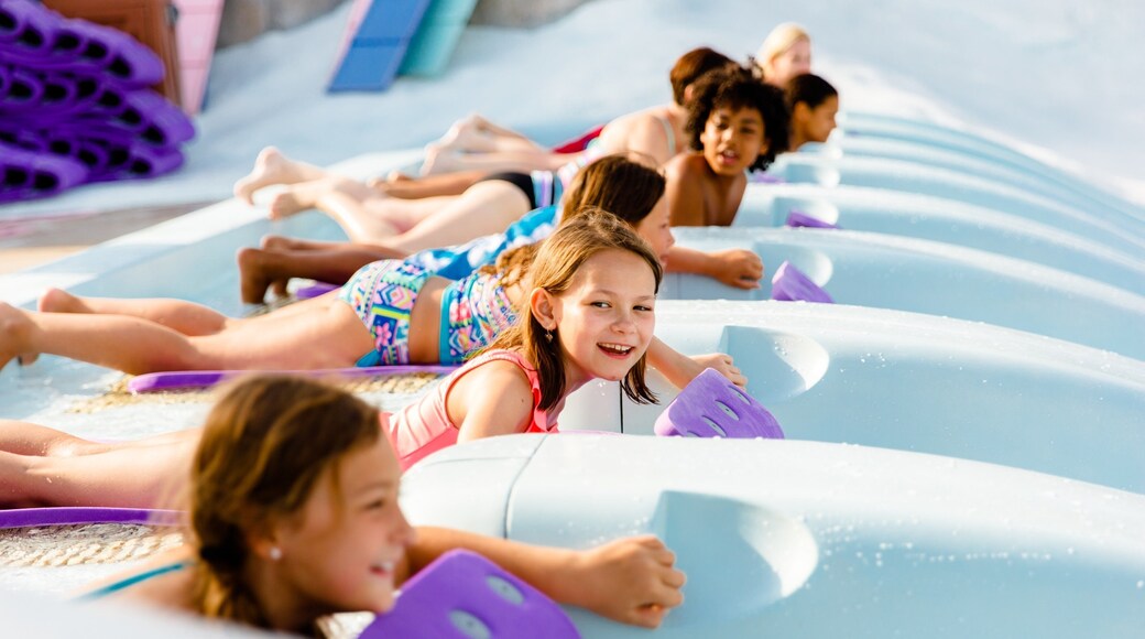 Disney\'s Blizzard Beach Water Park featuring a waterpark as well as children