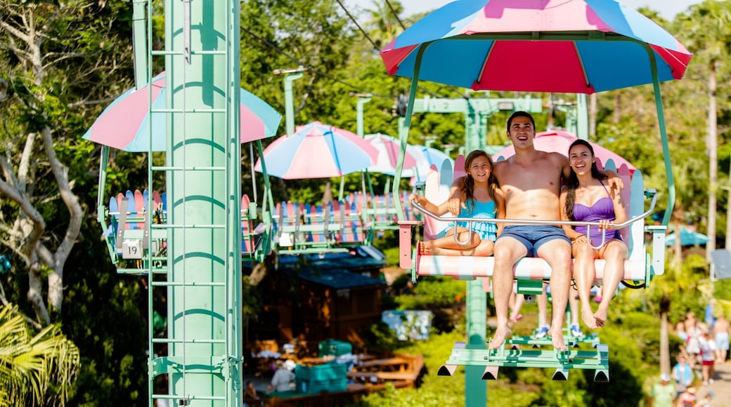 Disney\'s Blizzard Beach Water Park featuring a gondola as well as a family