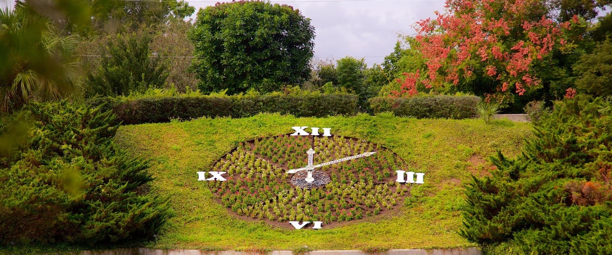 Harry P. Leu Gardens som viser blomster og park