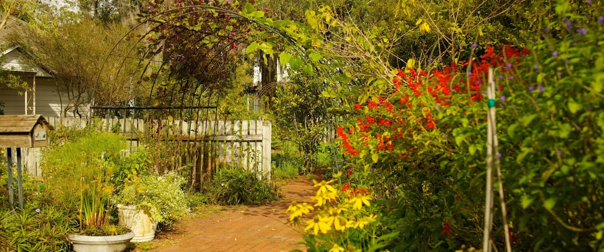 Explore the vibrant pathways and blooming flora at Harry P. Leu Gardens in Orlando, Florida during a sunny afternoon