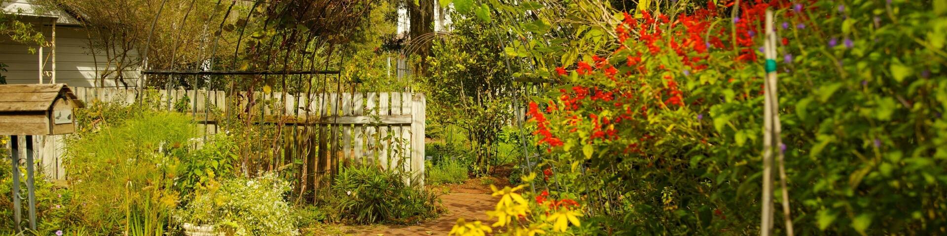 Explore the vibrant pathways and blooming flora at Harry P. Leu Gardens in Orlando, Florida during a sunny afternoon