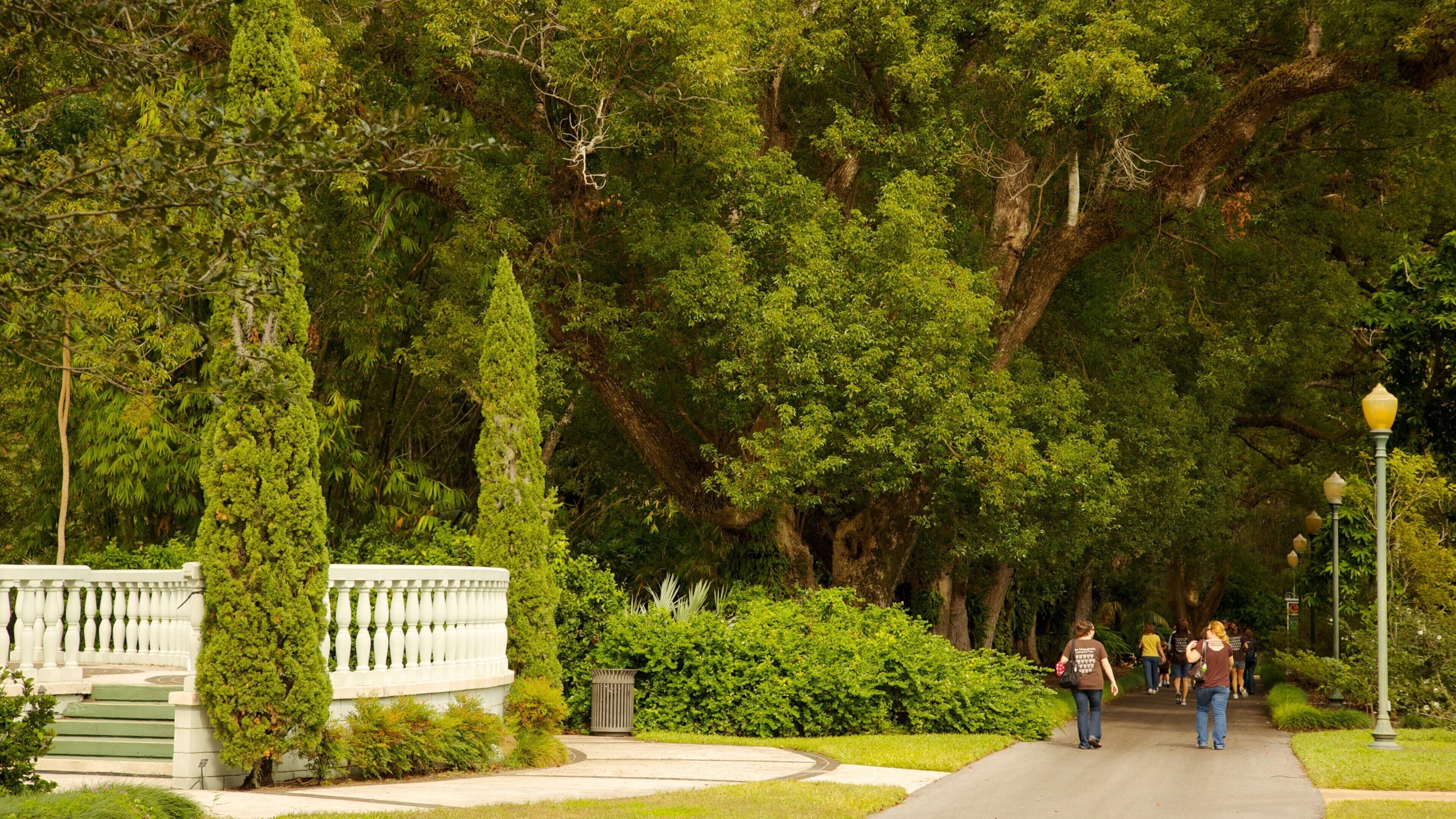 Harry P. Leu Gardens som visar vandring, en trädgård och skogslandskap