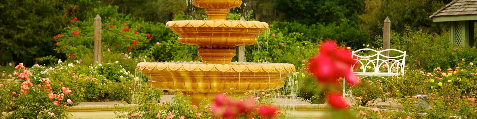 Harry P. Leu Gardens caracterizando uma fonte, paisagem e um parque