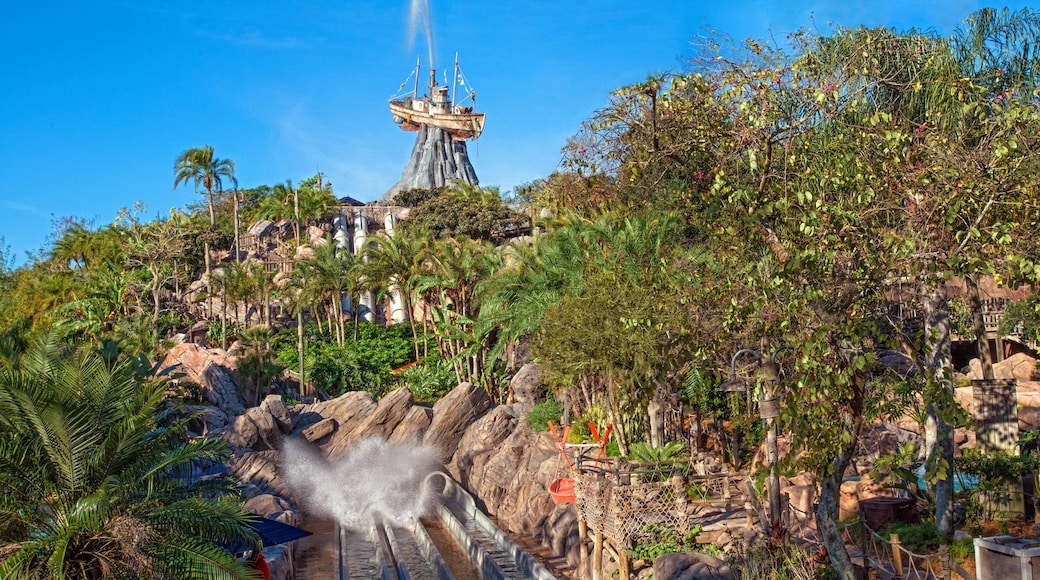 Disney\'s Typhoon Lagoon Water Park which includes a waterpark and landscape views