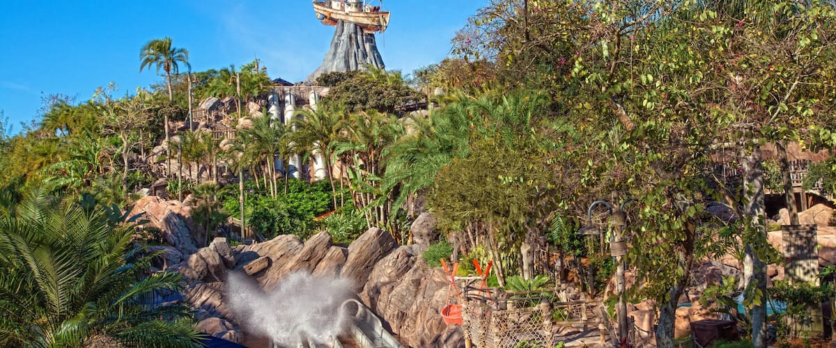 Disney\'s Typhoon Lagoon Water Park which includes a waterpark and landscape views