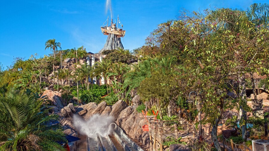 Disney\'s Typhoon Lagoon Water Park which includes a waterpark and landscape views