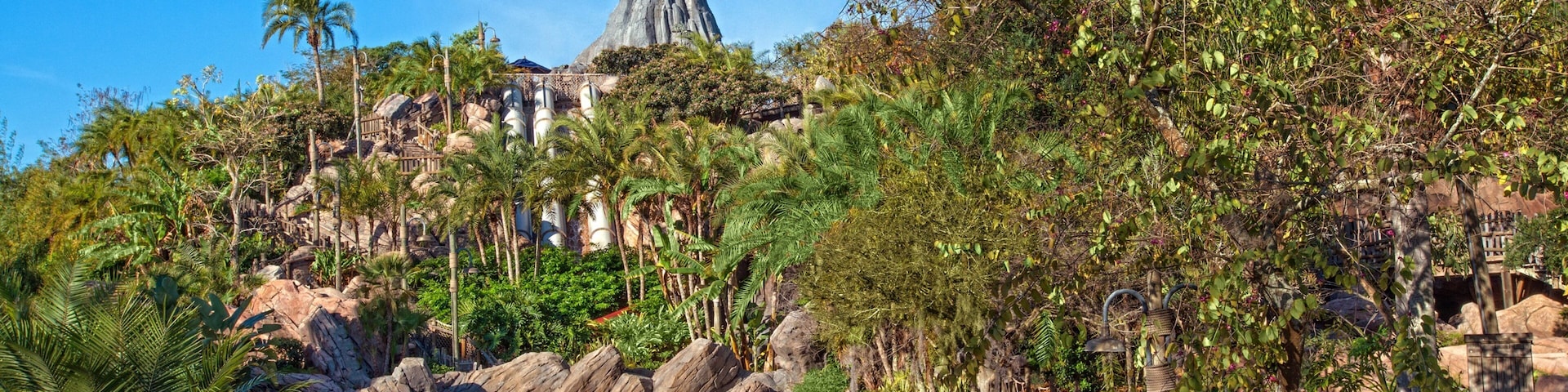 Disney\'s Typhoon Lagoon Water Park which includes a waterpark and landscape views