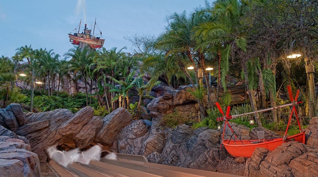 Disney\'s Typhoon Lagoon Water Park which includes a waterpark