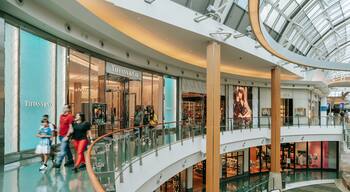Mall at Millenia which includes shopping and interior views