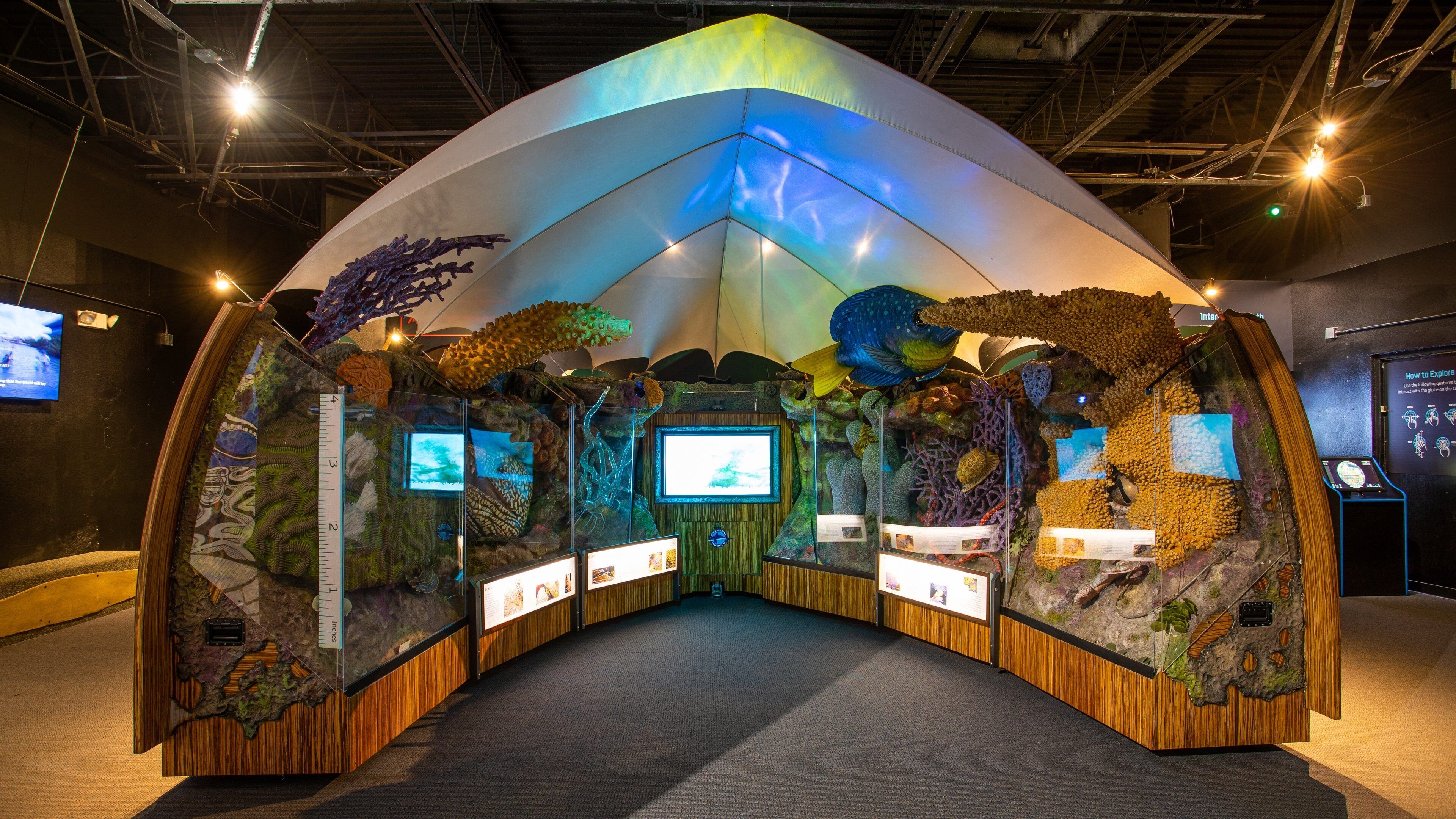Mote Marine Laboratory & Aquarium showing marine life and interior views