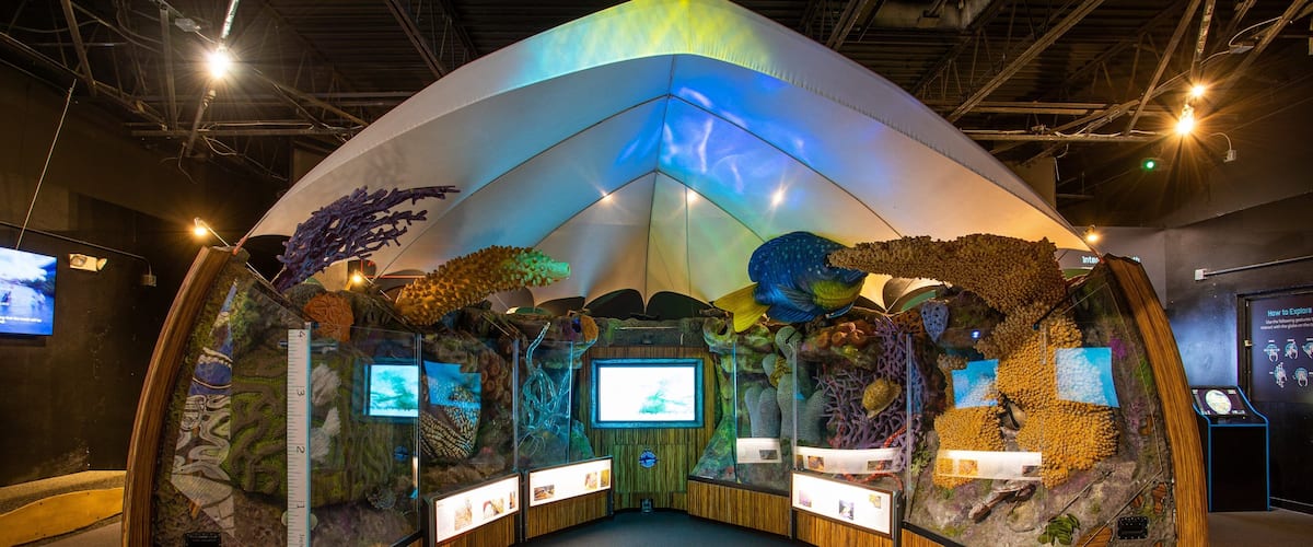 Mote Marine Laboratory & Aquarium showing marine life and interior views