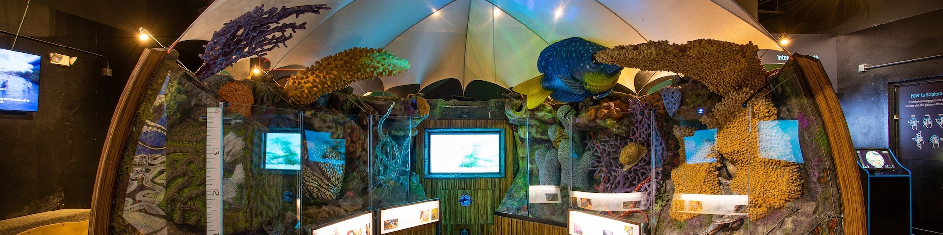 Mote Marine Laboratory & Aquarium showing marine life and interior views