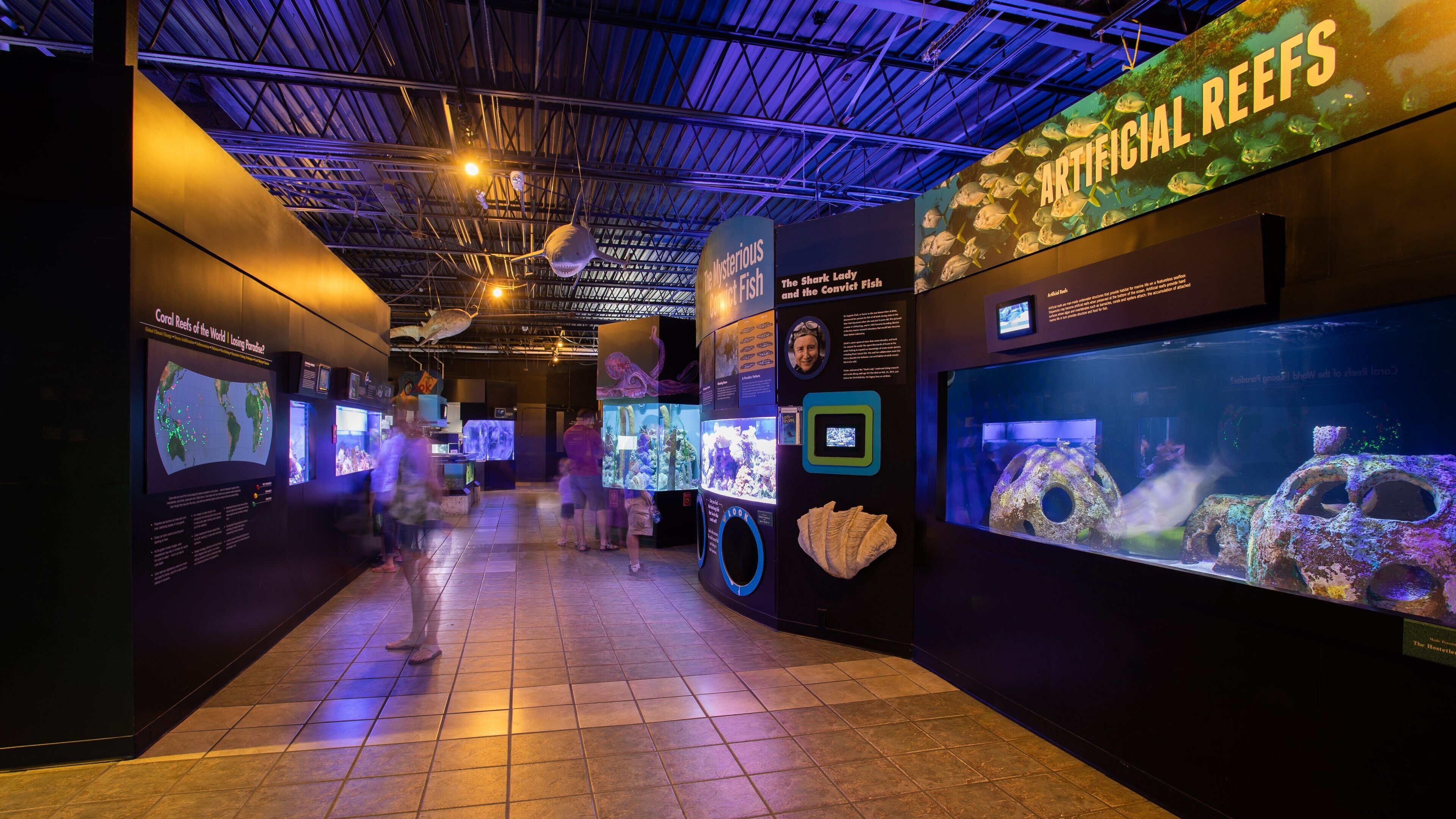 Mote Marine Laboratory & Aquarium in Sarasota - Tours and Activities |  Expedia.ca
