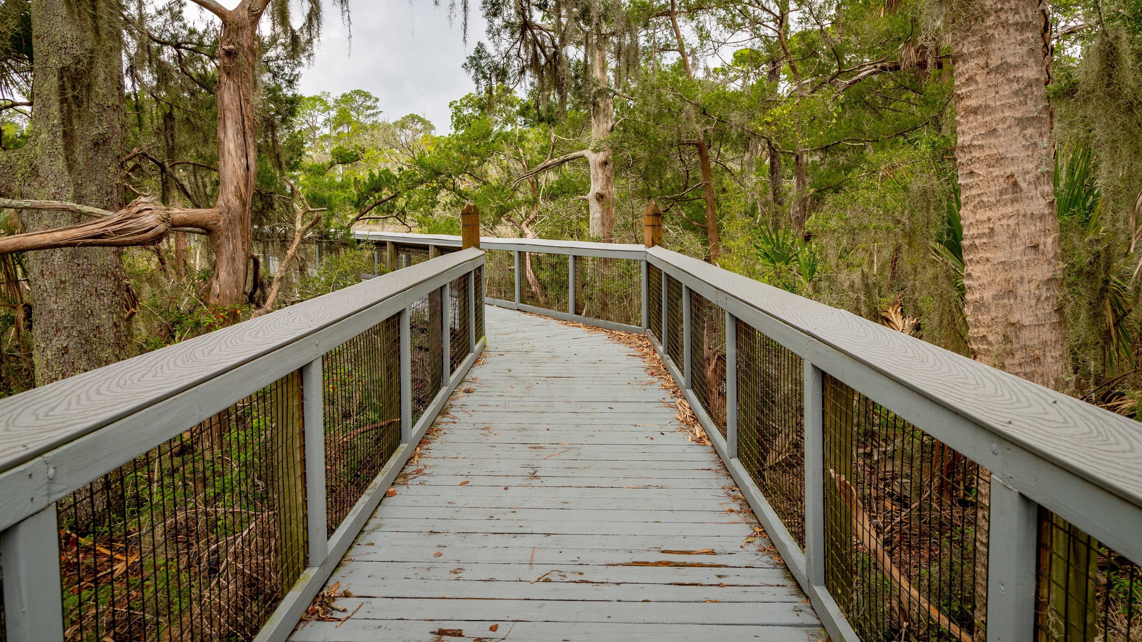 Fort Mose Historic State Park featuring a bridge and forests